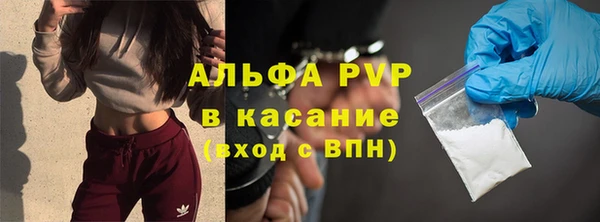 крисы Новокубанск