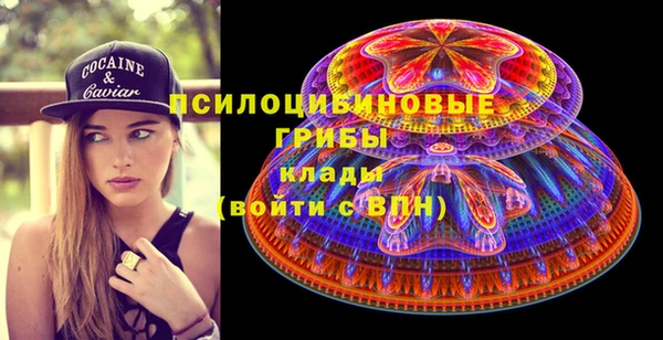 спиды Аркадак