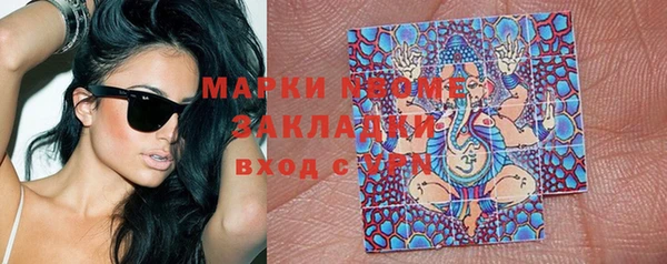 амф Новозыбков