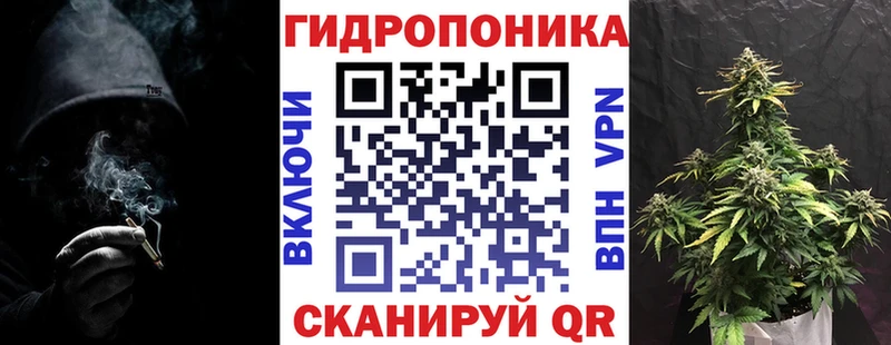 hydra маркетплейс  Новодвинск  Марихуана MAZAR  купить  цена 